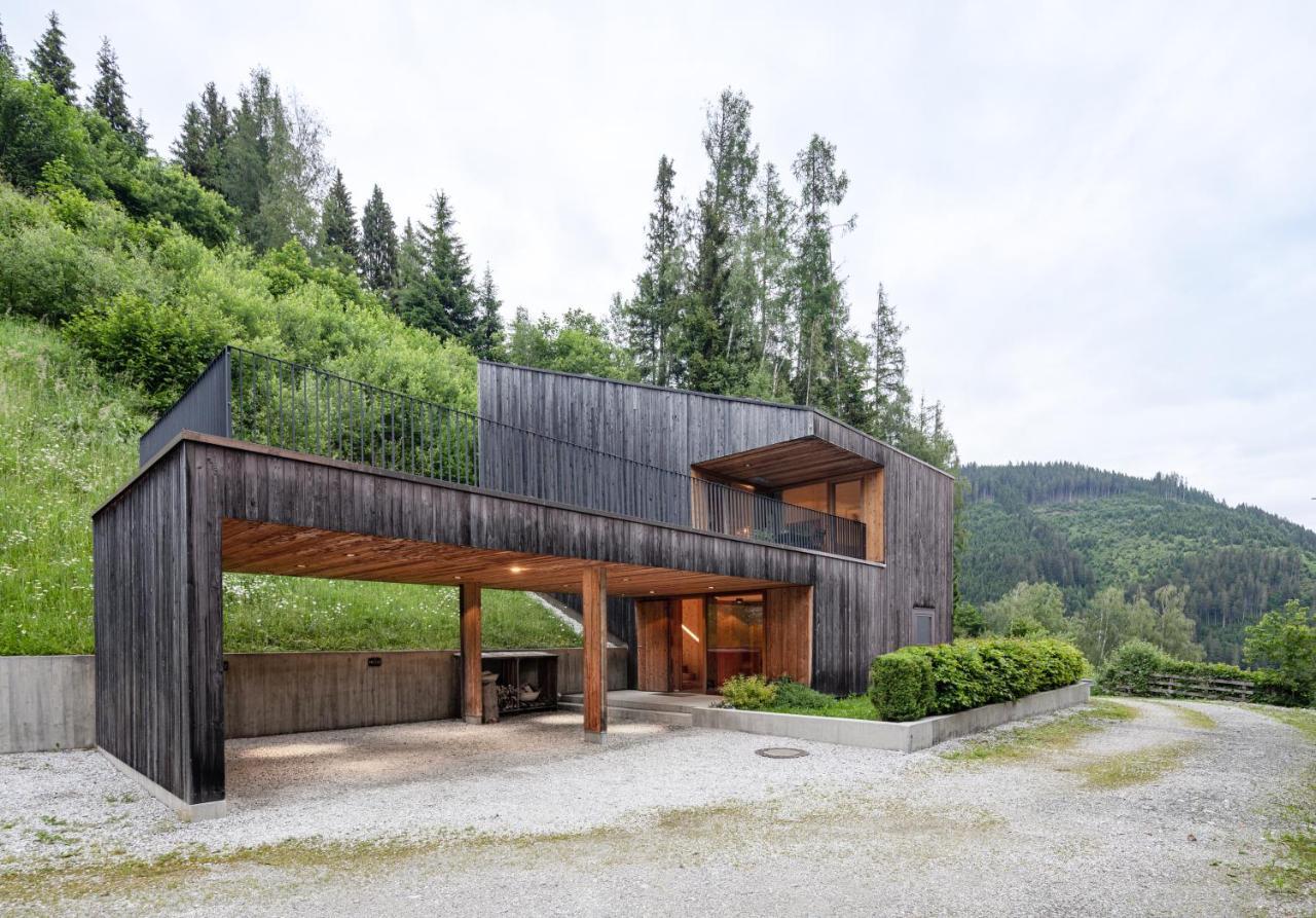 Aufberg 1110 Appartement Piesendorf Buitenkant foto